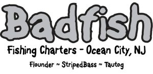 Badfish Fishing Charters - OCNJ