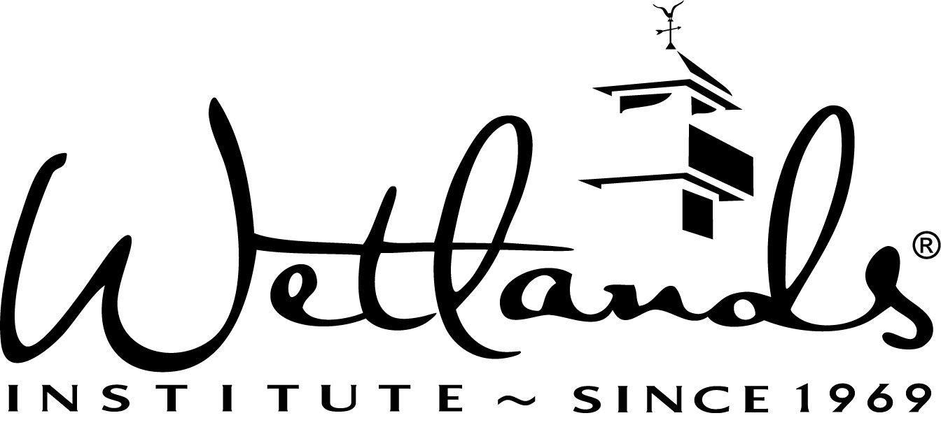 Wetlands Institute Ocean City NJ