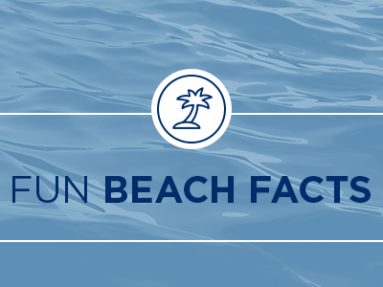 Fun beach facts