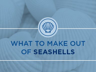 What to make out of seashells