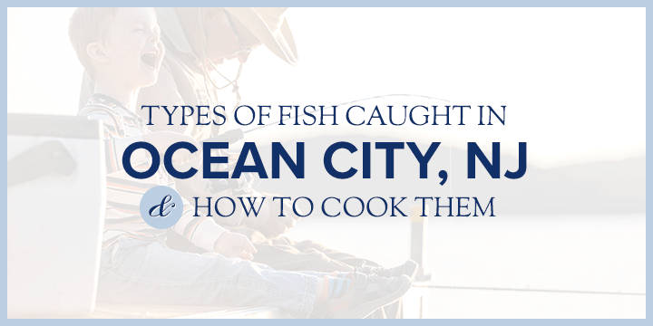 types of fish caught in ocnj and how to cook them