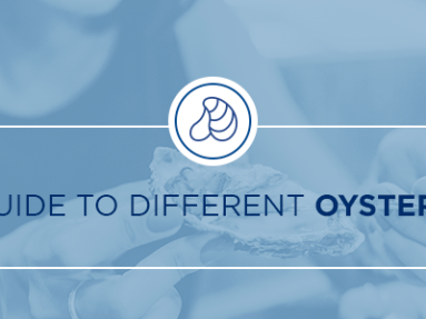 Guide to Different Oysters