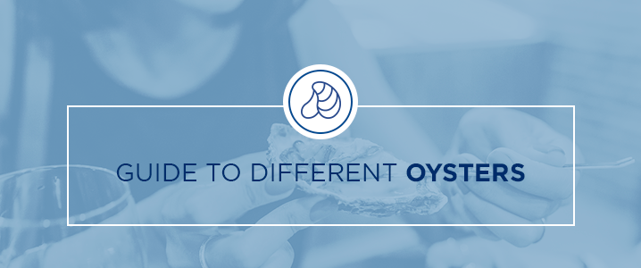 guide to different oysters
