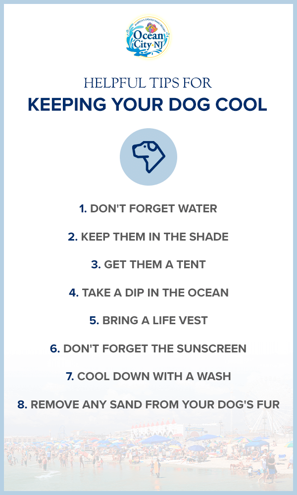 helpful tips for keeping your dog cool