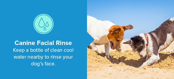 canine facial rinse