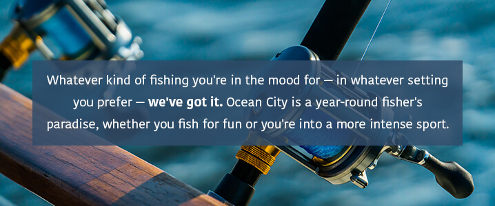 whatever kind of fishing you're in the mood for, ocean city has it