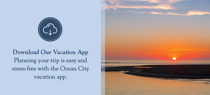 download on vacation app