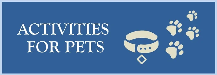 Activities for Pets