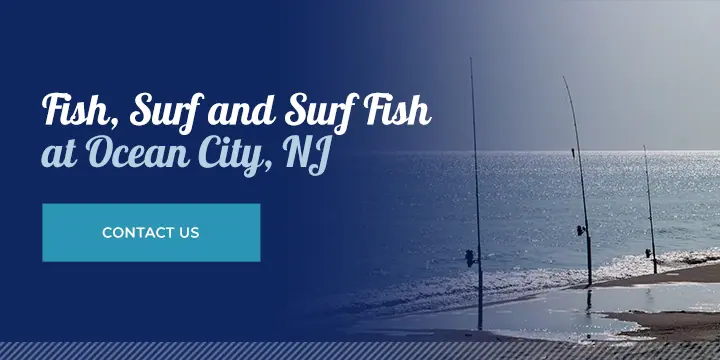 How to Surf Fish: A Comprehensive Saltwater Fishing Guide