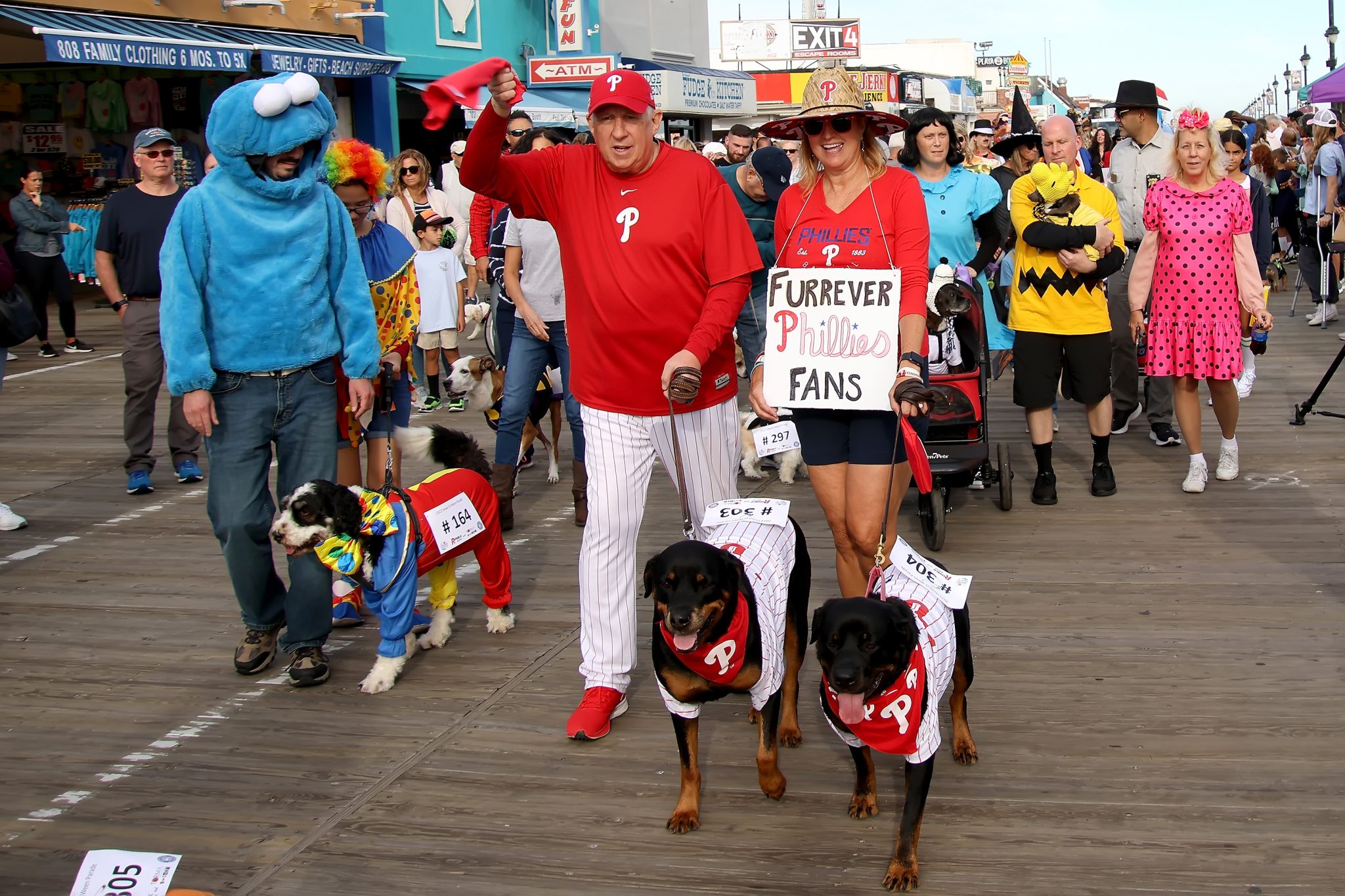 Dog Days Ocean City NJ